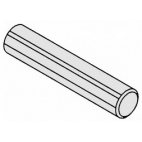Agitator Shaft Pin 65062-1